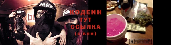 ПСИЛОЦИБИНОВЫЕ ГРИБЫ Вязники
