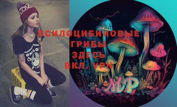 винт Вяземский