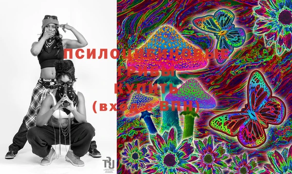 ешки Верхний Тагил